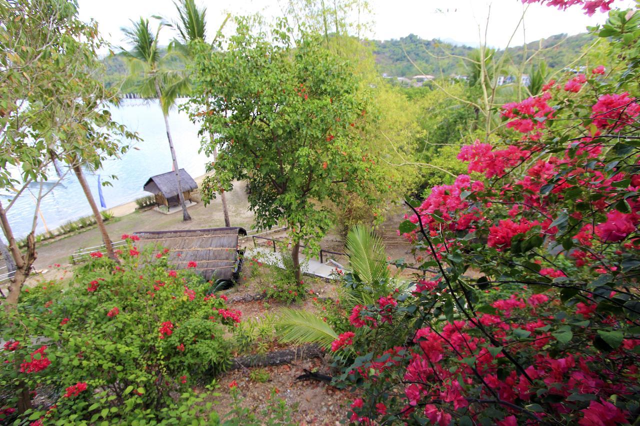 Discovery Island Resort Busuanga Eksteriør billede